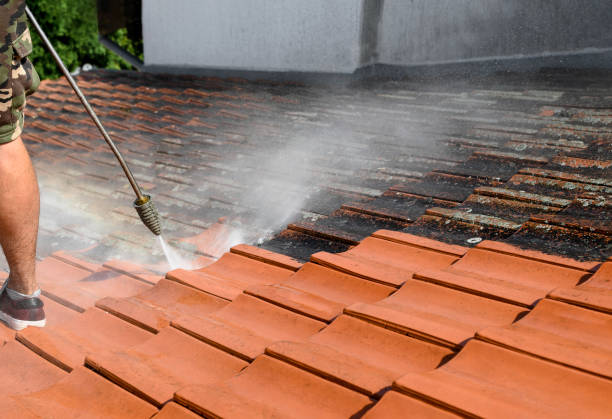 Best Best Pressure Washing Companies  in Abbotsford, WI