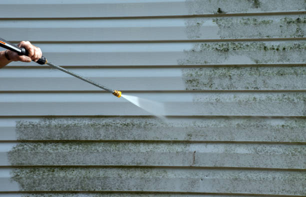 Best Affordable Pressure Washing  in Abbotsford, WI