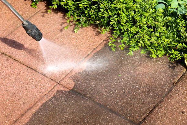 Best Pressure Washing Siding  in Abbotsford, WI